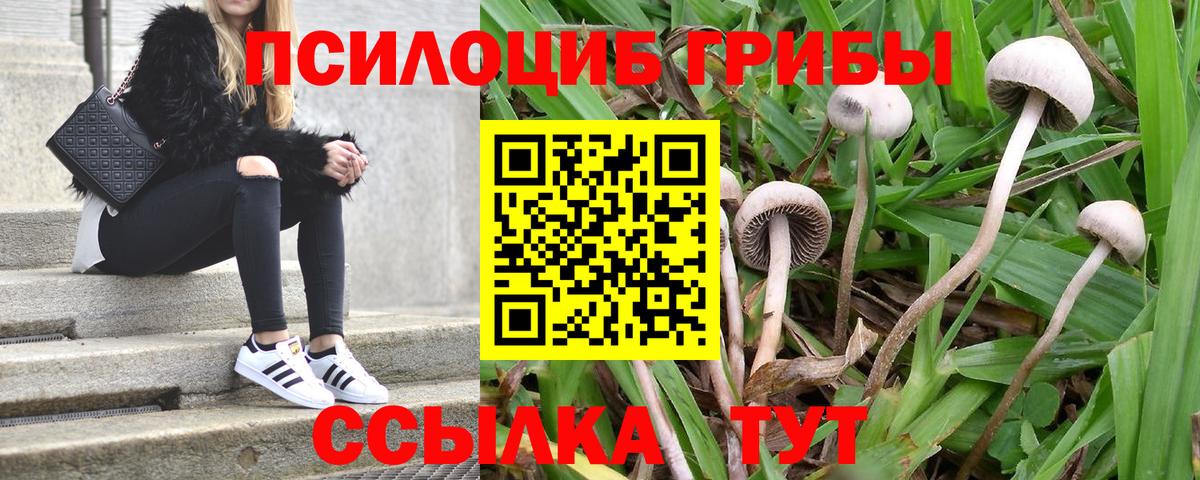Галлюциногенные грибы ЛСД  Галлюциногенные грибы Psilocybine cubensis  Вход с VPN  Ликино-Дулёво 