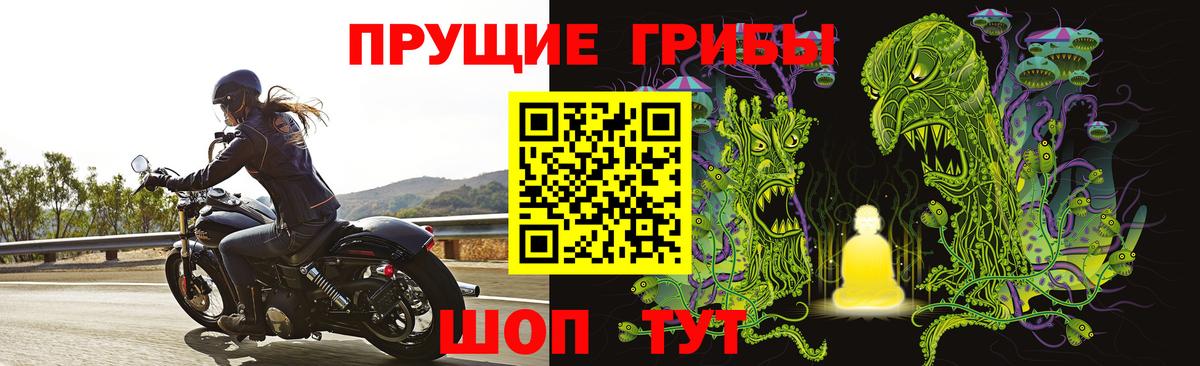 Галлюциногенные грибы Psilocybe Ликино-Дулёво